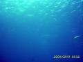 2008-02-01-A-01.jpg