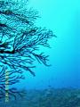 200810261450.jpg