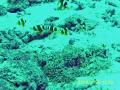 20081130-02-06.jpg