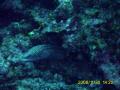20081130-03-01.jpg