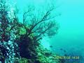 20081130-03-03.jpg
