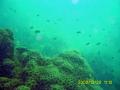 20081229-01-03.jpg