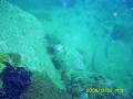 20081229-01-04.jpg
