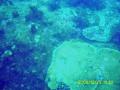 20081229-01-07.jpg