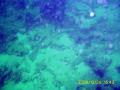 20081229-02-01.jpg