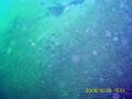 20081229-02-03.jpg