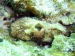 2009-06-22_A_006.jpg