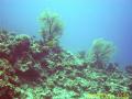 20090301-03-01.jpg