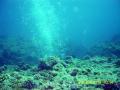20090419-01-01.jpg