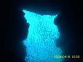 20090419-01-02.jpg