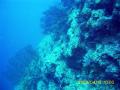 20090419-01-04.jpg