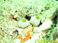 20090419-01-07.jpg