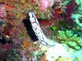 20090419-02-03.jpg
