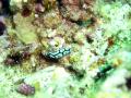 20090419-02-04.jpg
