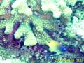 20090419-02-07.jpg