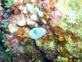 20090419-02-08.jpg