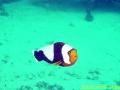 20090419-03-01.jpg