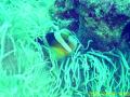20090419-03-02.jpg