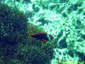 20090419-03-03.jpg
