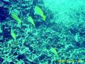 20090419-03-06.jpg