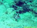 20090419-03-09.jpg