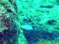 20090524_A_03.jpg