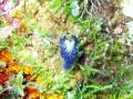 20090524_A_06.jpg