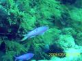 20090524_A_10.jpg