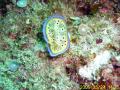20090524_C_03.jpg