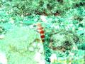 20090524_C_07.jpg