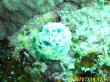 20090719-BBB-002.jpg