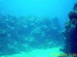 20090719-BBB-007.jpg
