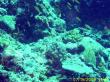 20090719-CCC-001.jpg
