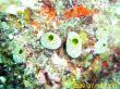 20090719-CCC-003.jpg