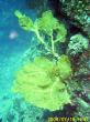 20090719-CCC-005.jpg