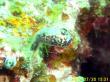 20090720-BBB-002.jpg