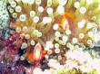 20090802_BBB_06.jpg