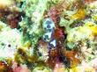 20090802_BBB_10.jpg