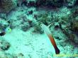 20090802_BBB_13.jpg