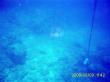 20090809_AAA_01.jpg