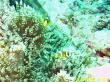 20090809_AAA_03.jpg