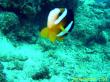 20090809_AAA_04.jpg