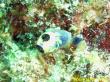 20090809_AAA_06.jpg