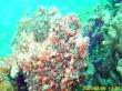 20090809_BBB_04.jpg