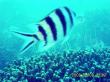 20090809_BBB_05.jpg