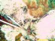 20090809_BBB_06.jpg