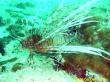 20090809_BBB_07.jpg