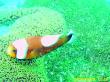 20090809_BBB_10.jpg