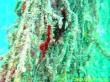 20090809_BBB_12.jpg