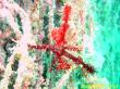 20090809_BBB_13.jpg